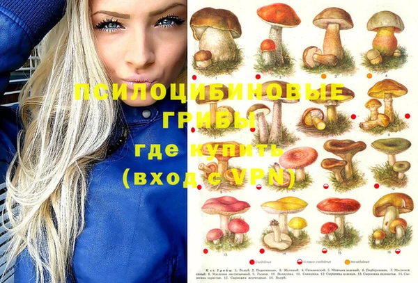 герыч Заводоуковск