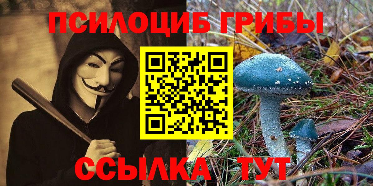 Галлюциногенные грибы ЛСД  Вход с VPN  Кулебаки  где продают   Псилоцибиновые грибы мухоморы 